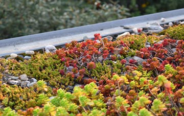 the cost of Brokes green roof installation