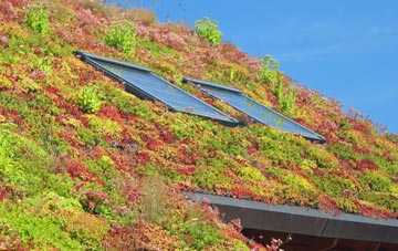 Brokes living roof systems