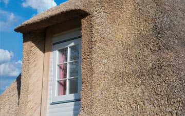 Brokes thatch roof disadvantages